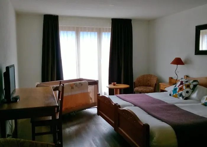 Hotel De Fully photo