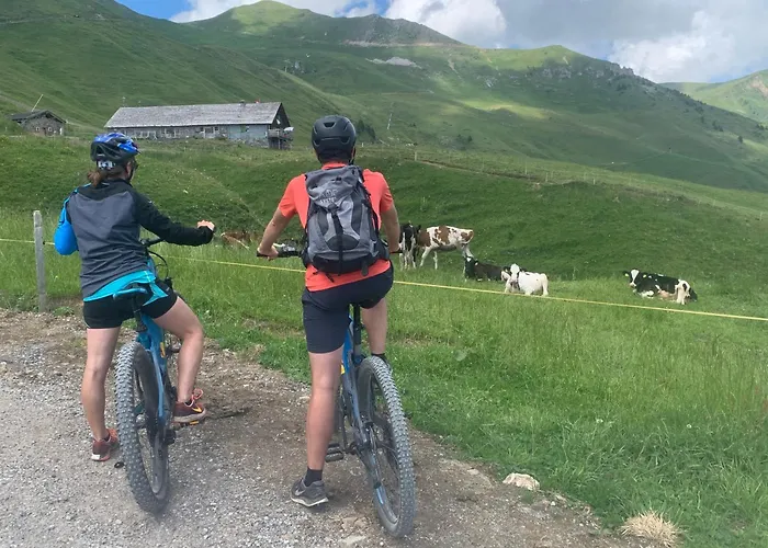 Chalet Montriond - Bike & Ski Les Crosets Foto