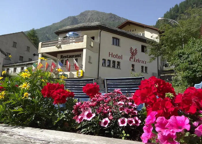 Hotel-Restaurant Grina Simplon photo