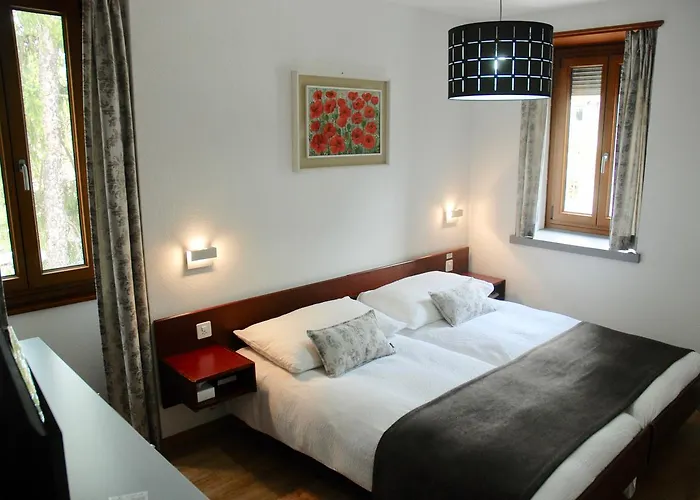 La Dent-Du-Midi Hotel & Restaurant Saint-Maurice photo